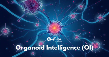 Organoid Intelligence: Where Biology Meets Technology