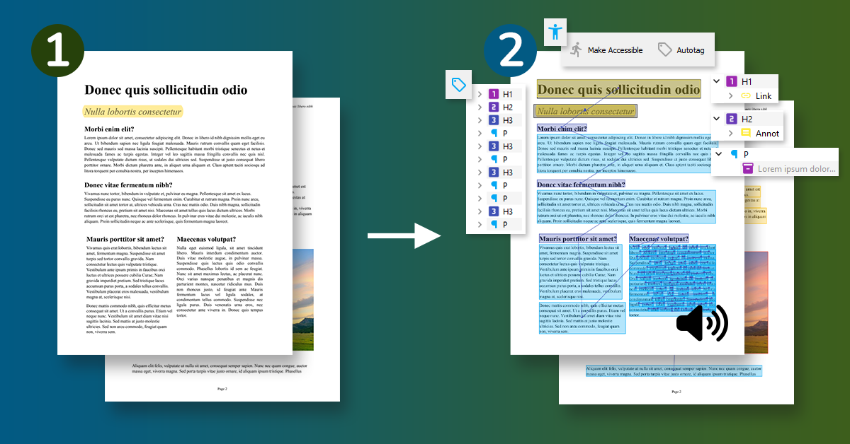 PDF to XML conversion